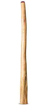 CrookedStixz Didgeridoo (AH391)